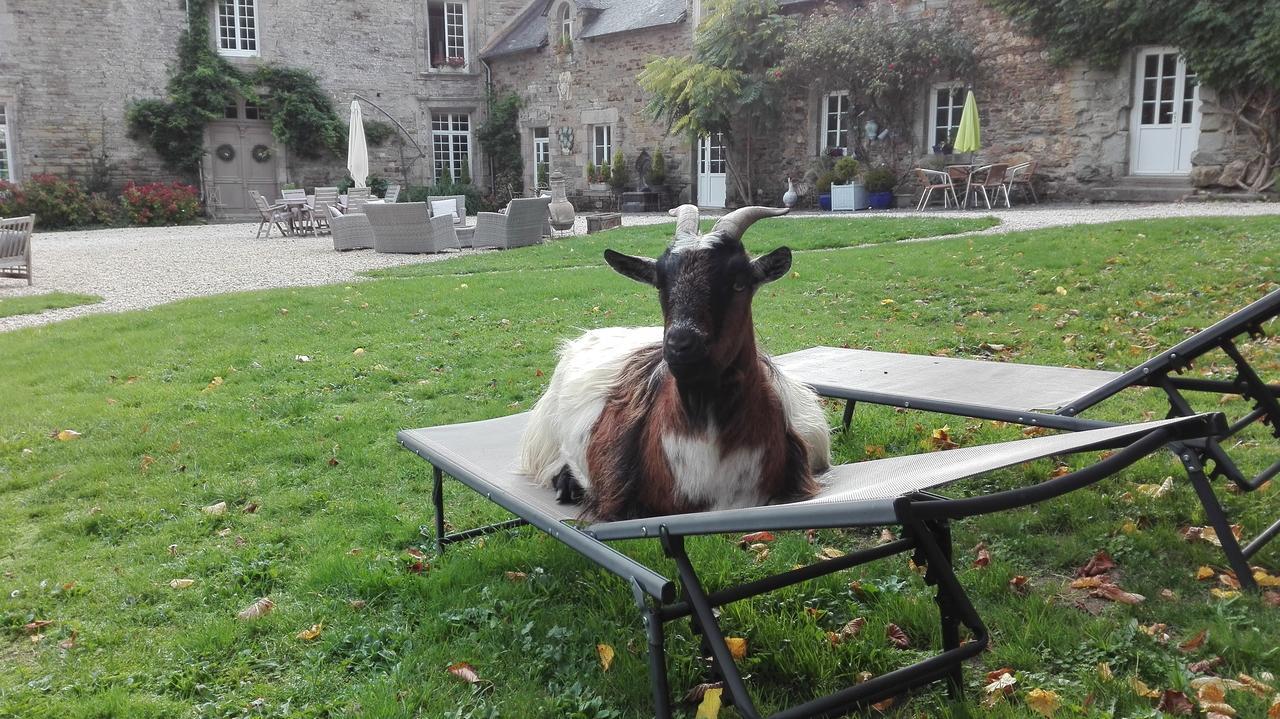 Bed and Breakfast Manoir du Quengo à Rohan Extérieur photo